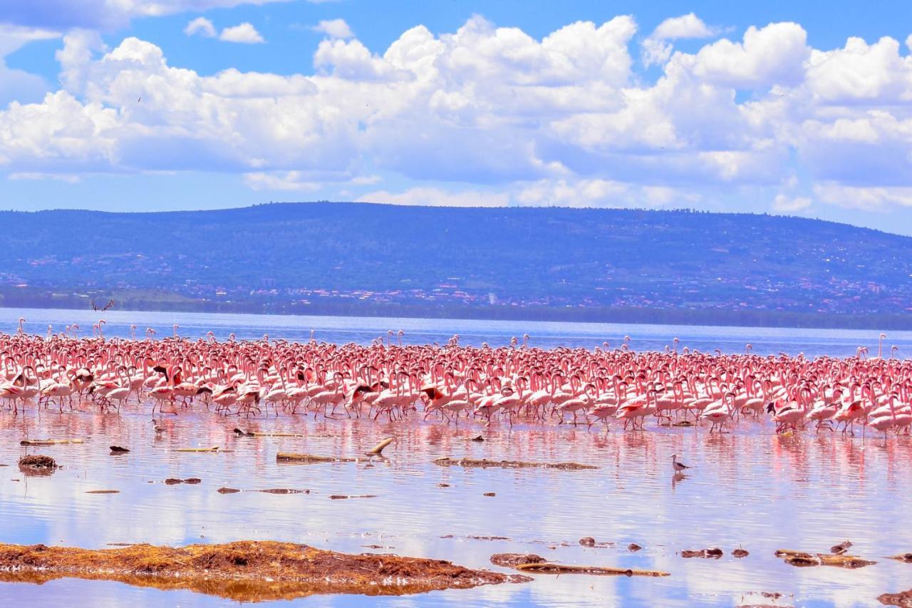 Lake Nakuru Lodge Exterior photo